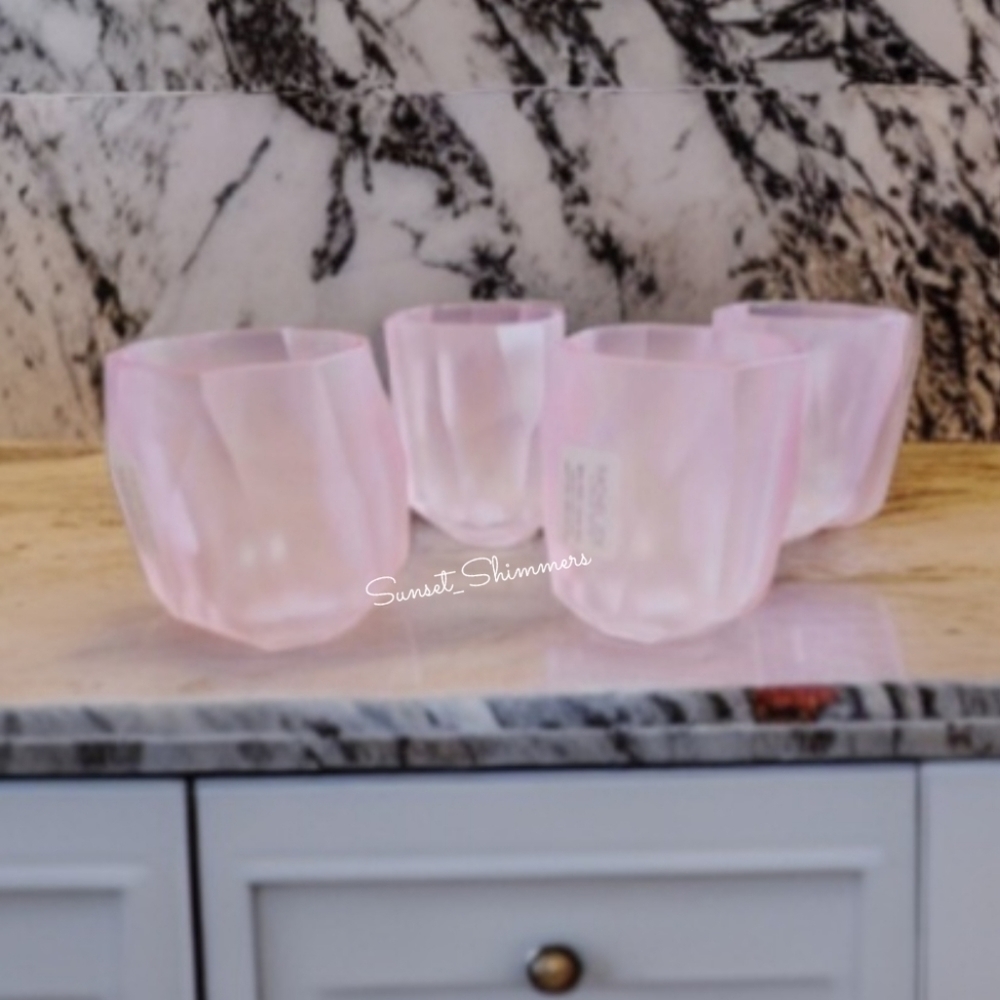 4pc RACHEL ZOE Frosted PINK ACRYLIC CRYSTAL TUMBLER Drink GLASS SET New